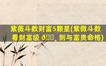 紫薇斗数财富5颗星(紫微斗数看财富级 🕸 别与富贵命格)